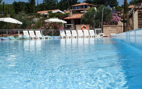 Guardistallo 639: Acqua, Pianta, Piscina, Azzurro, Albero, Cielo, Corpo D'Acqua, Tempo Libero, Ombrello, Aqua
