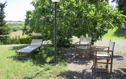 Guardistallo 640: Pianta, Mobilia, Panchina, Verde, Shade, Mobili Da Esterno, Tavolo, Albero, Luce Del Sole, Erba