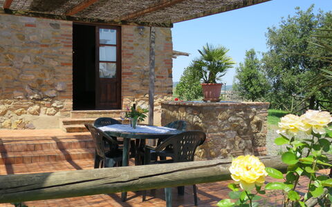 Guardistallo 640: Proprietà, Costruzione, Casa, Villetta, Camera, Parete, Terrazza, Immobiliare, Mobilia, Fiore