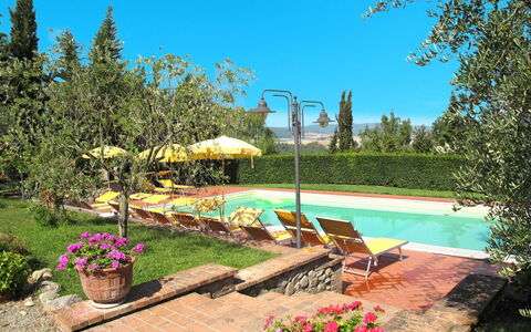 Lajatico 602: Fiore, Pianta, Acqua, Cielo, Piscina, Vaso Di Fiori, Botanica, Paesaggio Naturale, Mobili Da Esterno, Shade