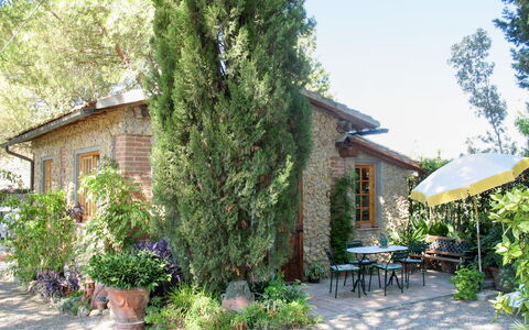 Il Crocino Ii: Proprietà, Albero, Immobiliare, Casa, Costruzione, Pianta, Villetta, Giardino, Villa, Casa