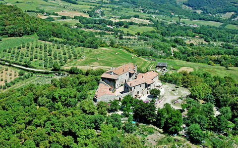 Roccastrada 618: Pianta, Costruzione, Comunita 'Impianto, Verde, Paesaggio Naturale, Ambiente Naturale, Highland, Lotto, Vegetazione, Albero