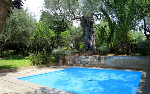 Castiglione della Pescaia 610: Acqua, Pianta, Proprietà, Natura, Albero, Shade, Vegetazione, Erba, Paesaggio Naturale, Arecales