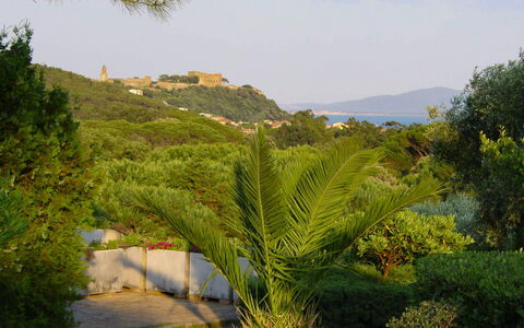 Castiglione della Pescaia 610: Cielo, Pianta, Montagna, Nube, Albero, Paesaggio Naturale, Highland, Arbusto, Erba, Paesaggio