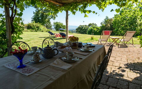 Ginestra: Pianta, Tavolo, Proprietà, Tavola, Cielo, Albero, Tavolo Esterno, Mobili Da Esterno, Architettura, Shade