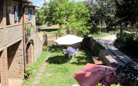 Monteriggioni 602: Proprietà, Cortile, Giardino, Erba, Backyard, Casa, Area Rurale, Albero, Paesaggio, Immobiliare