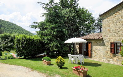 Lago Trasimeno 605