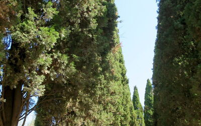 Lago di Bolsena 662
