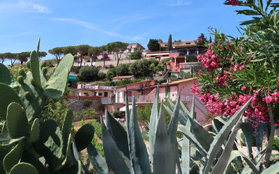 Capoliveri 620