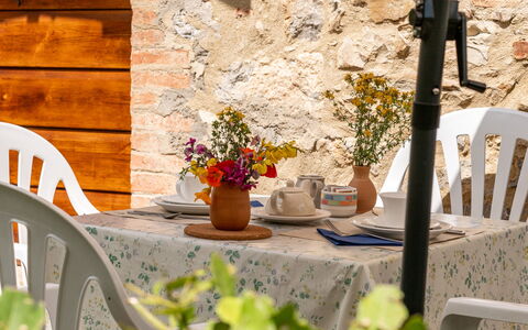 Travale 601: Fiore, Pianta, Proprietà, Mobilia, Vaso Di Fiori, Finestra, Tavolo, Pianta Della Casa, Legna, Arancia