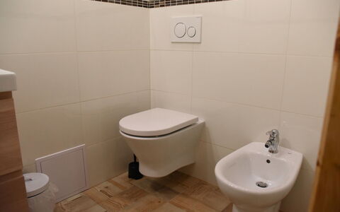 Stará Huť: Bagno, Gabinetto, Toilet Seat, Proprietà, Idraulico Fixture, Camera, Parete, Pavimento, Bidet, Piastrella