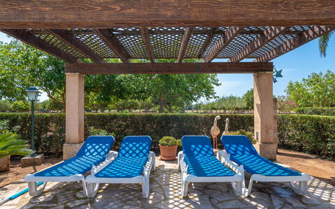 Son Viquet: Pianta, Mobilia, Shade, Mobili Da Esterno, Albero, Tempo Libero, Immobiliare, Lettino, Paesaggio, Erba