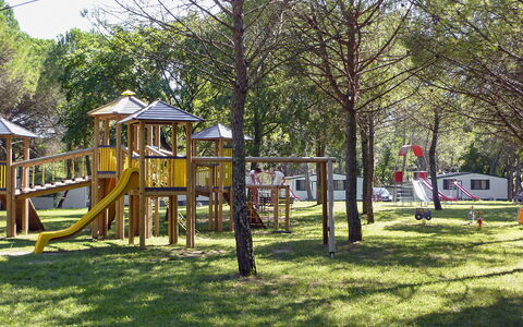 Grado 653: Pianta, Albero, Shade, Erba, Terreno Di Gioco, Tempo Libero, Ricreazione, Tinte E Ombre, Città, Casa