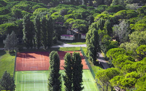 Grado 653: Proprietà, Pianta, Paesaggio Naturale, Botanica, Costruzione, Casa, Lotto, Hedge, Vegetazione, Erba
