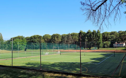 Grado 653: Cielo, Pianta, Albero, Recinzione, Lotto, Shade, Erba, Maglia, Recinzione, Attrezzatura Sportiva