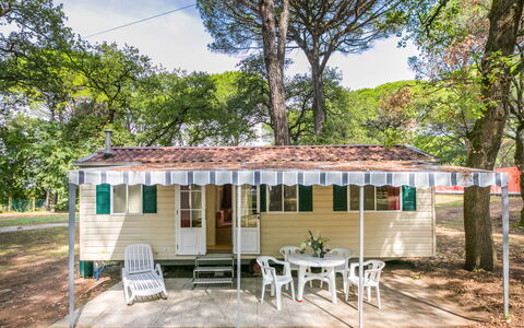 Alloggio:&nbsp;Belvedere Pineta Camping Village 653.3