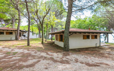 Alloggio:&nbsp;Belvedere Pineta Camping Village 653.2