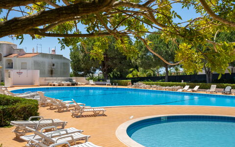 Quinta Do Torrejão: Acqua, Pianta, Proprietà, Piscina, Cielo, Natura, Azzurro, Shade, Mobili Da Esterno, Albero