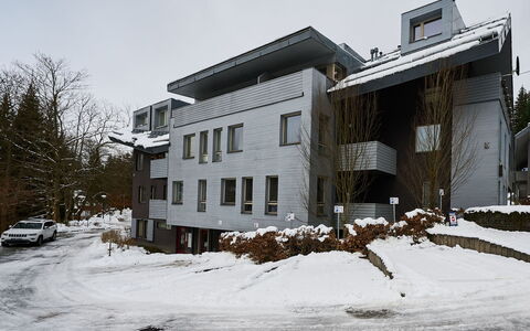Harrachov: Costruzione, Zona Residenziale, Architettura, Casa, Congelamento, Inverno, Neve, Appartamento, Pendenza, Estate