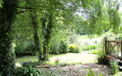 De Beaumont: Pianta, Comunita 'Impianto, Paesaggio Naturale, Shade, Albero, Lotto, Alveo, Erba, Impianto Terrestre, Groundcover