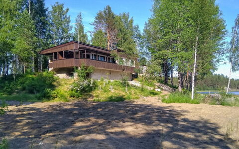 Kiviranta: Albero, Lotto, Villetta, Estate, Log Cabin, Larice, Woodland, Sempreverde