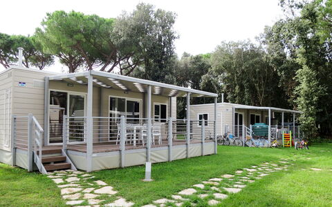 Baia Domizia 602: Pianta, Albero, Shade, Cielo, Lotto, Architettura, Costruzione, Erba, Spazio Pubblico, Tempo Libero