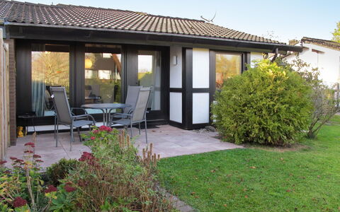 Scout: Proprietà, Casa, Costruzione, Immobiliare, Casa, Cortile, Villetta, Backyard, Zona Residenziale, Erba