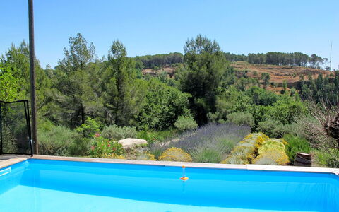 Les Oliviers: Acqua, Cielo, Pianta, Piscina, Sedia, Natura, Azzurro, Blu, Albero, Shade