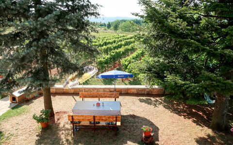 Labin 797: Proprietà, Albero, Riserva Naturale, Immobiliare, Casa, Tavolo, Comunita 'Impianto, Area Rurale, Mobilia, Costruzione