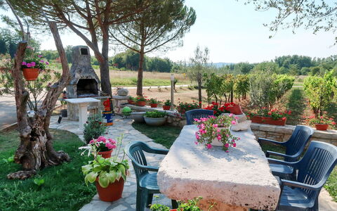 Labin 797: Giardino, Cortile, Proprietà, Backyard, Landscaping, Botanica, Albero, Paesaggio, Pianta, Fiore