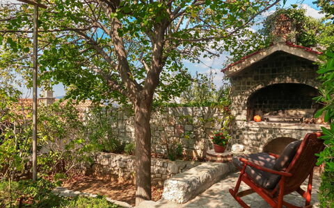 Donata: Proprietà, Albero, Immobiliare, Casa, Costruzione, Hacienda, Backyard, Villetta, Camera, Cortile