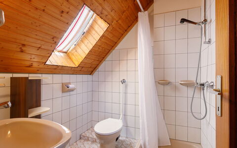 Antal: Legna, Pavimentazione, Idraulico Fixture, Pavimento, Interior Design, Bagno, Soffitto, Idraulico, Lavandino Del Bagno, Rubinetto