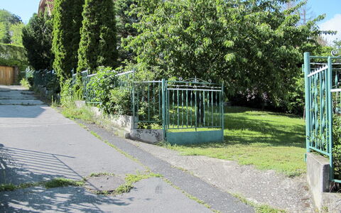 Csonka: Pianta, Cielo, Shade, Manto Stradale, Vegetazione, Lotto, Albero, Asfalto, Urban Design, Erba