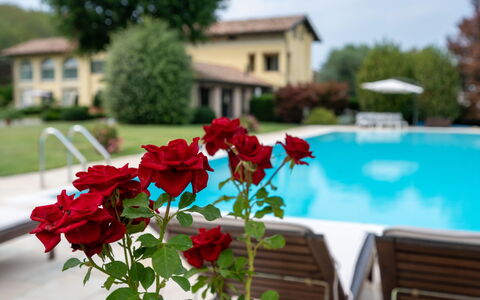 Villa Carlotta: Fiore, Acqua, Pianta, Cielo, Petalo, Finestra, Piscina, Albero, Estate, Costruzione