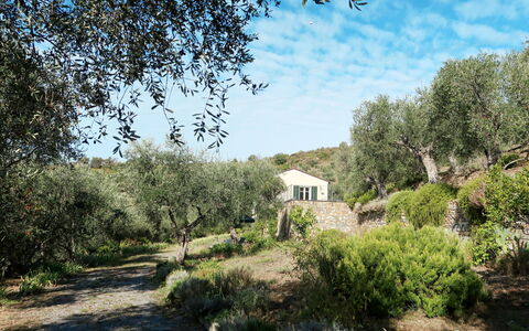 Il Terebinto (Imp427): Pianta, Cielo, Comunita 'Impianto, Nube, Paesaggio Naturale, Finestra, Lotto, Albero, Casa, Erba