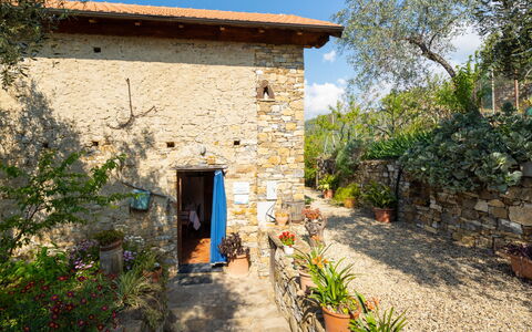 Casa U Baregu: Pianta, Proprietà, Cielo, Costruzione, Porta, Finestra, Architettura, Albero, Casa, Area Rurale