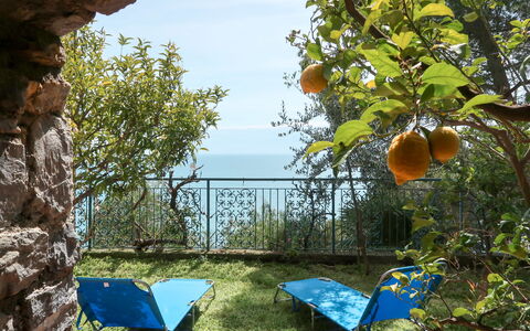 Orizzonte: Cielo, Pianta, Natura, Sedia, Albero, Shade, Biome, Erba, Mobili Da Esterno, Paesaggio Naturale