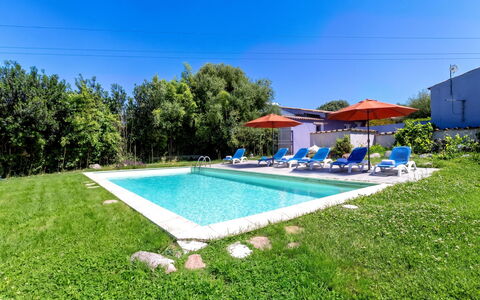Oliviola: Blu, Giardino, Piscina, Ricorrere, Estate, Agriturismo, Landscaping, Prato, Hacienda, Backyard
