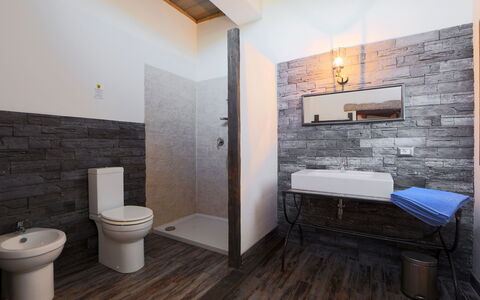 Oliviola: Bagno, Camera, Proprietà, Pavimento, Parete, Interior Design, Bidet, Costruzione, Gabinetto, Piastrella