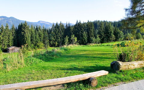 Schwalbenhof: Paesaggio Naturale, Natura Selvaggia, Natura, Ambiente Naturale, Prato, Albero, Montagna, Riserva Naturale, Pascolo, Pascolo
