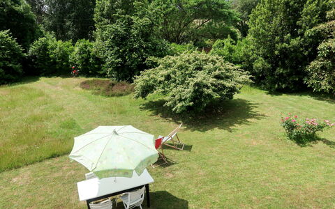 Les Genêts: Pianta, Comunita 'Impianto, Albero, Cielo, Shade, Paesaggio Naturale, Pascolo, Erba, Groundcover, Paesaggio
