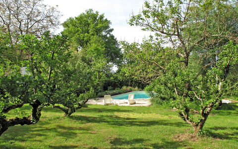 Peuchaud: Pianta, Cielo, Comunita 'Impianto, Paesaggio Naturale, Shade, Nube, Lotto, Albero, Erba, Paesaggio