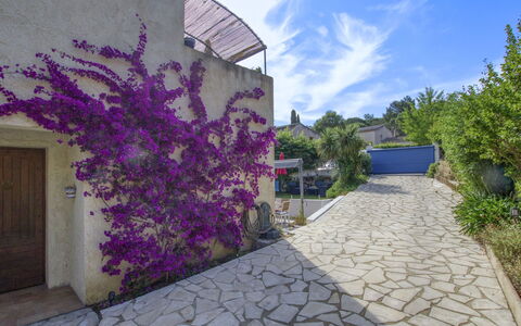 De Manou: Pianta, Fiore, Nube, Costruzione, Proprietà, Cielo, Natura, Azzurro, Viola, Manto Stradale