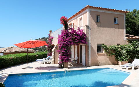 Yalou: Acqua, Pianta, Cielo, Costruzione, Fiore, Finestra, Azzurro, Piscina, Blu, Shade