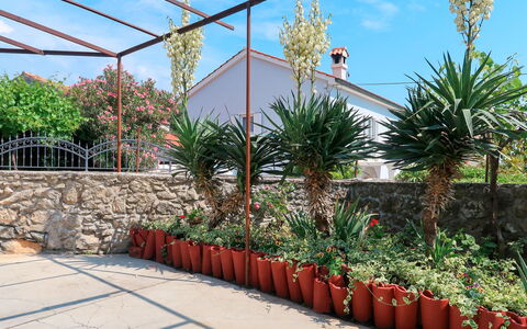 Mateja: Fiore, Cielo, Pianta, Proprietà, Comunita 'Impianto, Botanica, Nube, Architettura, Vegetazione, Biome