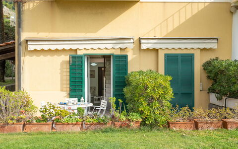 Botti: Pianta, Costruzione, Finestra, Porta, Casa, Lotto, Erba, Villetta, Shade, Raccordo
