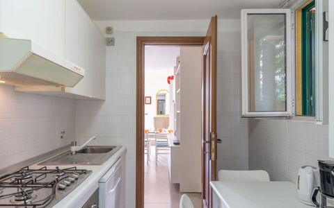 Botti: Costruzione, Stufa A Gas, Cabinetry, Cucina, Piano Cottura, Cucina Stufa, Elettrodomestico Da Cucina, Legna, Interior Design, Finestra