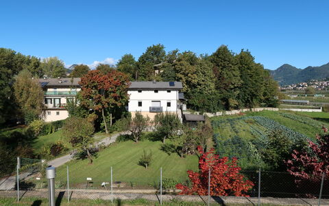 Angeli: Pianta, Costruzione, Cielo, Paesaggio Naturale, Albero, Finestra, Casa, Lotto, Vegetazione, Erba