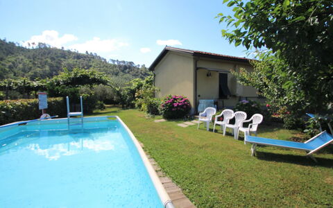 Villetta Luciana: Nube, Acqua, Cielo, Proprietà, Pianta, Piscina, Costruzione, Finestra, Azzurro, Blu