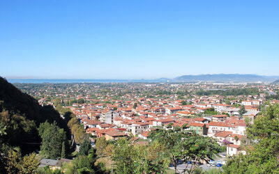 Mandarino